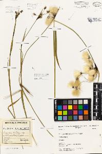 SW_BNB_s3080-05340_IMG-0000000001