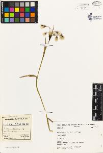 SW_BNB_s3080-05343_IMG-0000000001