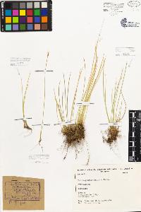 SW_BNB_s3080-05348_IMG-0000000001