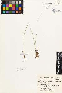 SW_BNB_s3080-05349_IMG-0000000001