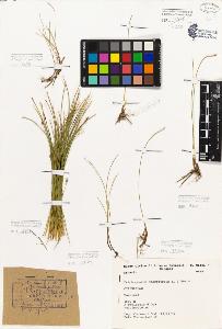 SW_BNB_s3080-05351_IMG-0000000001