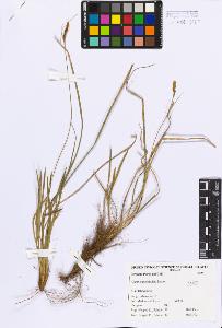 SW_BNB_s3080-05370_IMG-0000000001