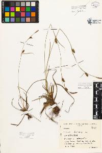 SW_BNB_s3080-05376_IMG-0000000001