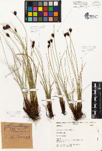 SW_BNB_s3080-05379_IMG-0000000001