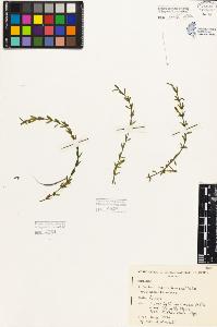SW_BNB_s3080-05390_IMG-0000000001