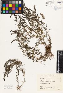 SW_BNB_s3080-05393_IMG-0000000001