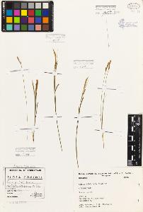 SW_BNB_s3080-05404_IMG-0000000001