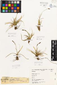 SW_BNB_s3080-05412_IMG-0000000001