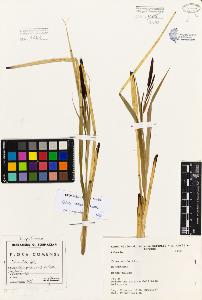 SW_BNB_s3080-05418_IMG-0000000001