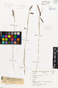 SW_BNB_s3080-05430_IMG-0000000001