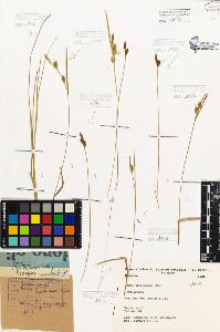 SW_BNB_s3080-05453_IMG-0000000001