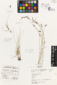 SW_BNB_s3080-05476_IMG-0000000001