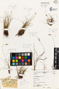 SW_BNB_s3080-05484_IMG-0000000001