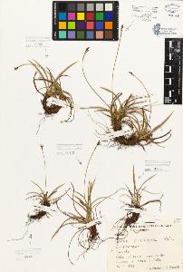 SW_BNB_s3080-05487_IMG-0000000001