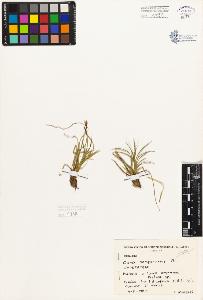 SW_BNB_s3080-05492_IMG-0000000001