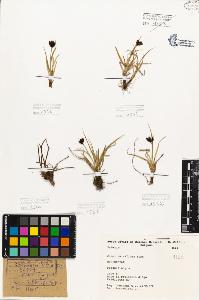 SW_BNB_s3080-05505_IMG-0000000001