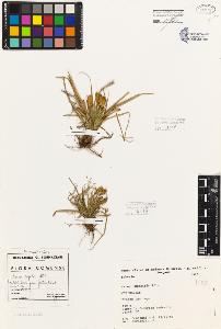 SW_BNB_s3080-05513_IMG-0000000001