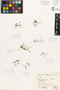 SW_BNB_s3080-05526_IMG-0000000001