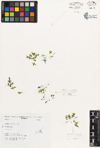 SW_BNB_s3080-05529_IMG-0000000001