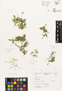 SW_BNB_s3080-05532_IMG-0000000001