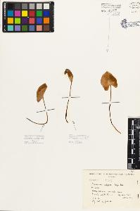 SW_BNB_s3080-05536_IMG-0000000001
