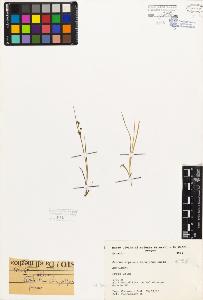 SW_BNB_s3080-05544_IMG-0000000001