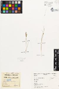 SW_BNB_s3080-05551_IMG-0000000001