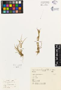 SW_BNB_s3080-05556_IMG-0000000001