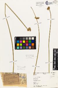 SW_BNB_s3080-05559_IMG-0000000001