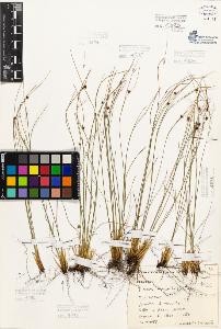 SW_BNB_s3080-05565_IMG-0000000001