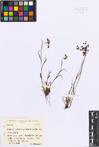 SW_BNB_s3080-05574_IMG-0000000001