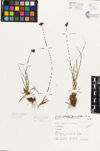 SW_BNB_s3080-05579_IMG-0000000001