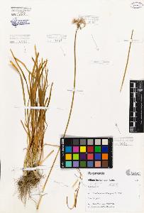 SW_BNB_s3080-05612_IMG-0000000001