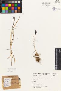 SW_BNB_s3080-05624_IMG-0000000001