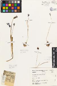 SW_BNB_s3080-05626_IMG-0000000001