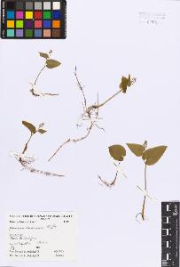SW_BNB_s3080-05631_IMG-0000000001