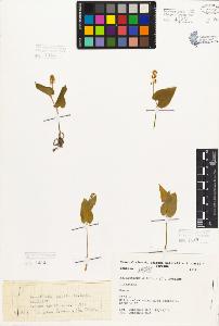 SW_BNB_s3080-05634_IMG-0000000001
