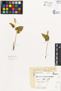 SW_BNB_s3080-05635_IMG-0000000001