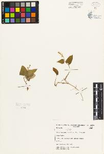 SW_BNB_s3080-05636_IMG-0000000001