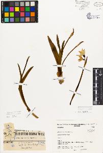 SW_BNB_s3080-05643_IMG-0000000001