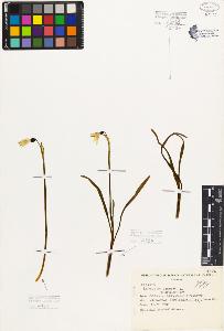 SW_BNB_s3080-05646_IMG-0000000001