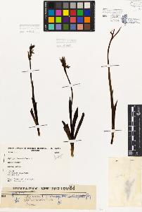 SW_BNB_s3080-05670_IMG-0000000001