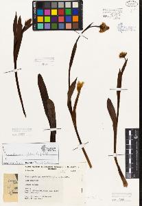 SW_BNB_s3080-05727_IMG-0000000001