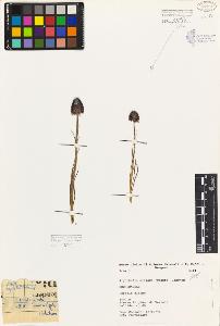 SW_BNB_s3080-05731_IMG-0000000001
