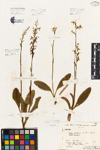 SW_BNB_s3080-05737_IMG-0000000001