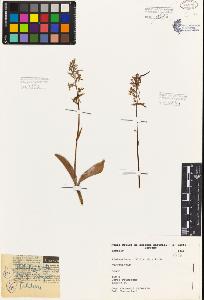SW_BNB_s3080-05740_IMG-0000000001