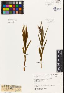 SW_BNB_s3080-05753_IMG-0000000001