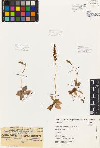 SW_BNB_s3080-05770_IMG-0000000001