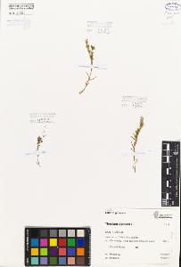 SW_BNB_s3080-05778_IMG-0000000001