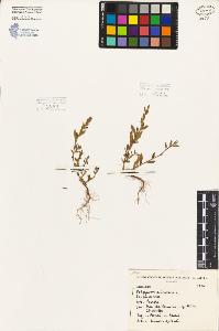 SW_BNB_s3080-05797_IMG-0000000001